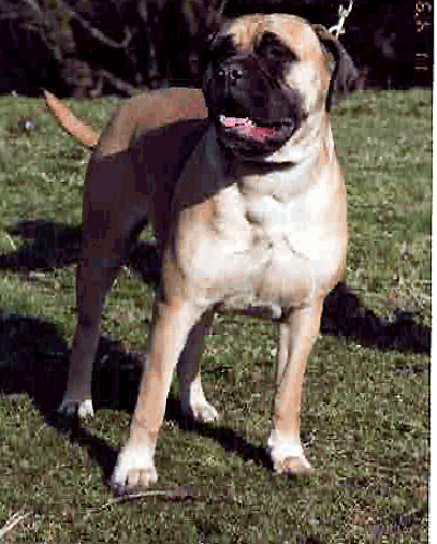 braks_billie_jean Braks Billie Jean