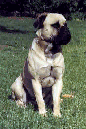 colom_raymond_2 Colom Raymond