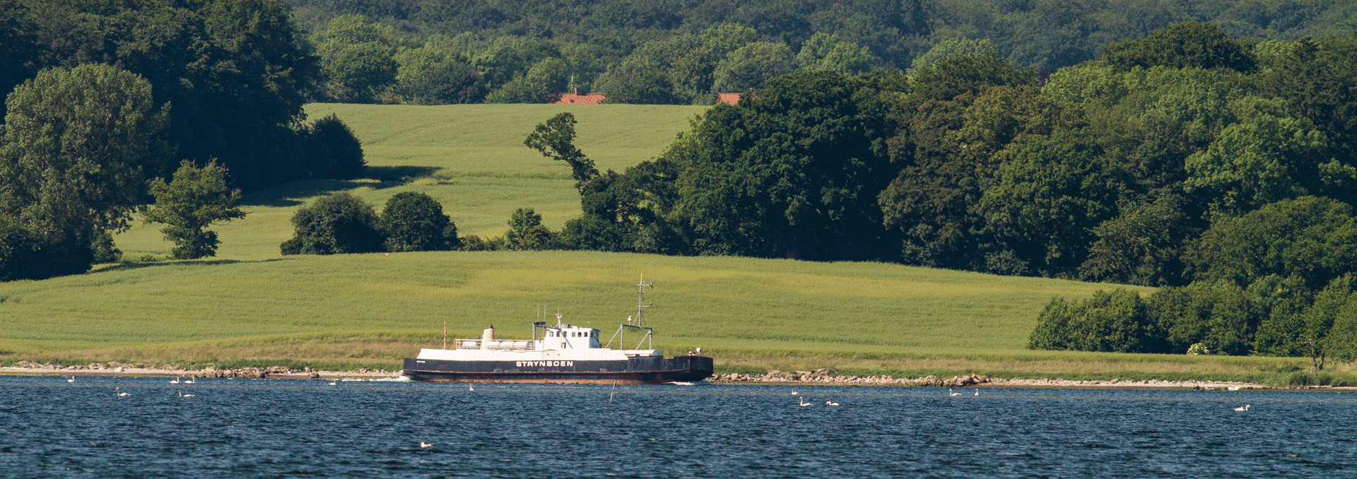 Strynboen Færge