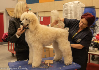 Zander, Workshop, Klippekursus, Pudel