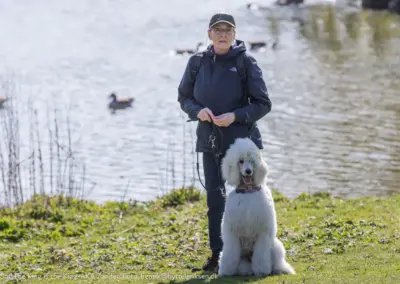 Zander, hundetræning, Hvalsø Hundevenner