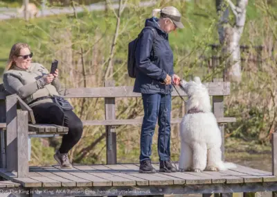 Zander, hundetræning, Hvalsø Hundevenner