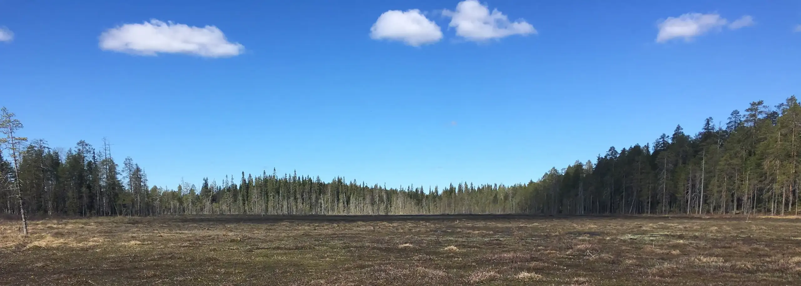 Boreal Wildlife Center Finland