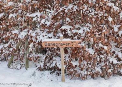 banegraven polarkulde