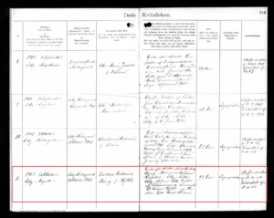 Dorthea Kathrine Hyttel doed den 12. oktober 1907