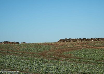 Nationalpark Skjoldungernes Land, Boerbjergvej, Hestesporet