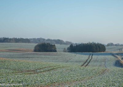 Nationalpark Skjoldungernes Land, Boerbjergvej, Hestesporet