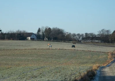 hestesporet boerbjergvej