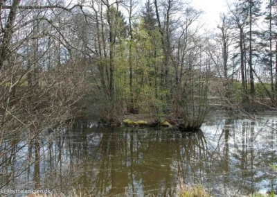 mit kirke hvalsoe 32