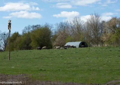 mit kirke hvalsoe 34