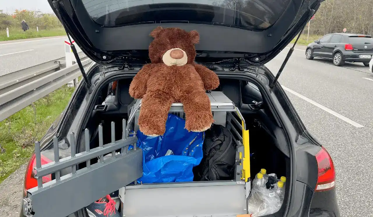 Zander, pudel, pudelklip